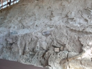 PICTURES/Dinosaur National Monument/t_Quarry Bones12.JPG